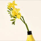 Creative Resin Banana Vase Flower Arrangement Decoration Simulated Fruit Banana Artifact Funny Vases Pots  Home Decoration